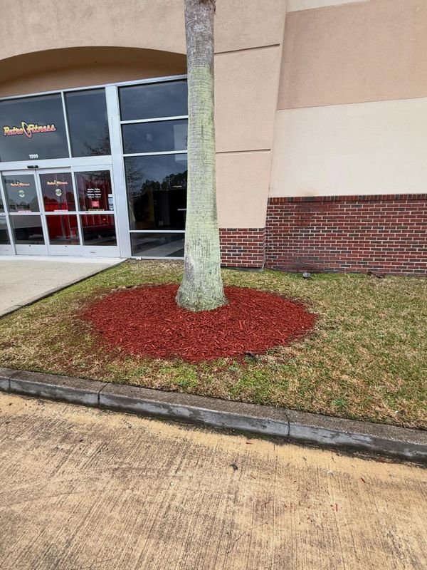 Mulch Installation