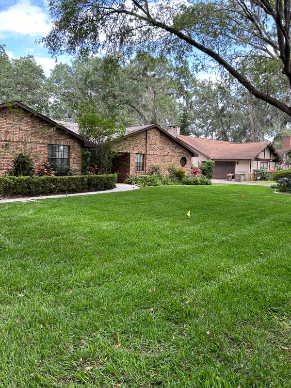 Lawn Care