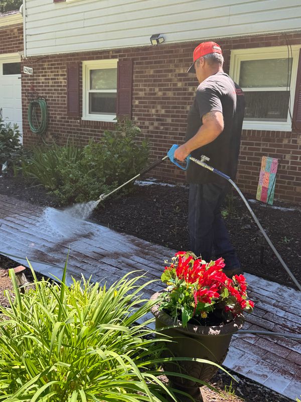 Hard Surface Washing