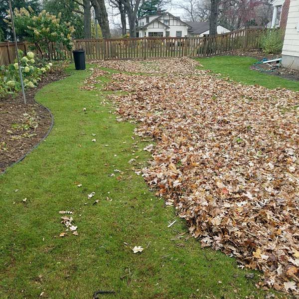 Fall Cleanups