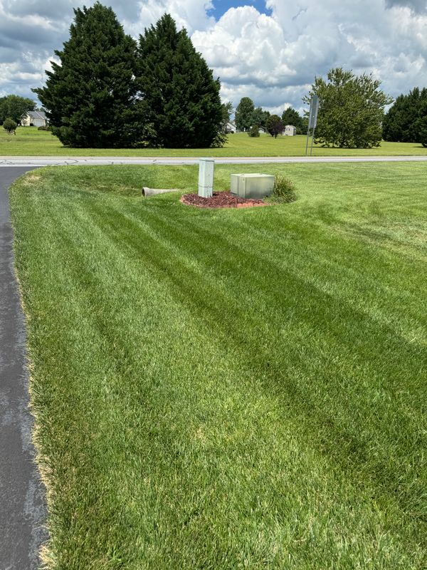 Lawn Mowing & Maintenance