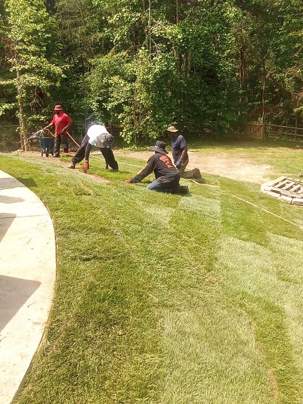 Grass Up