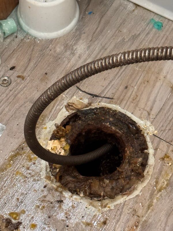 Drain Cleaning