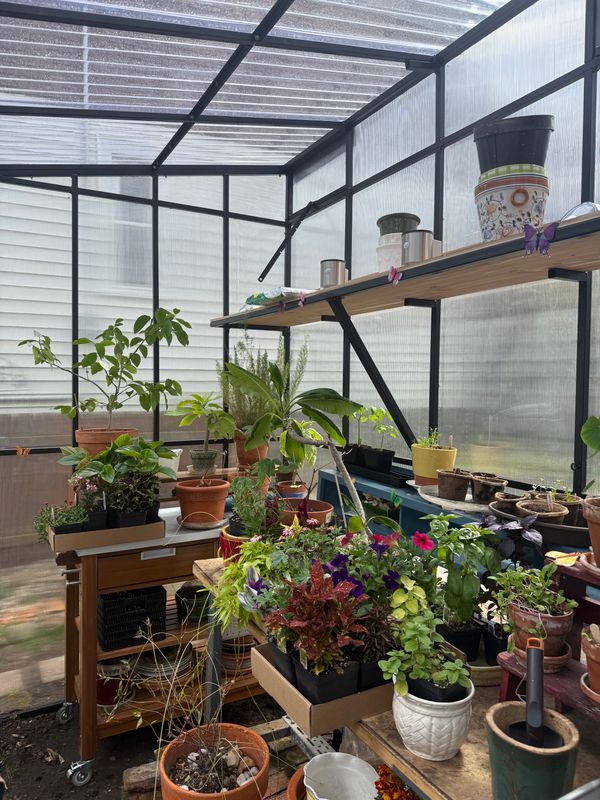 Greenhouses