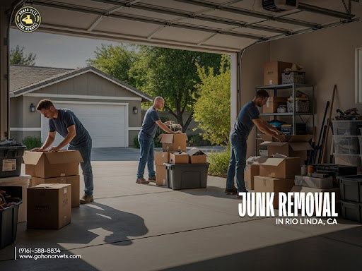 Junk Removal