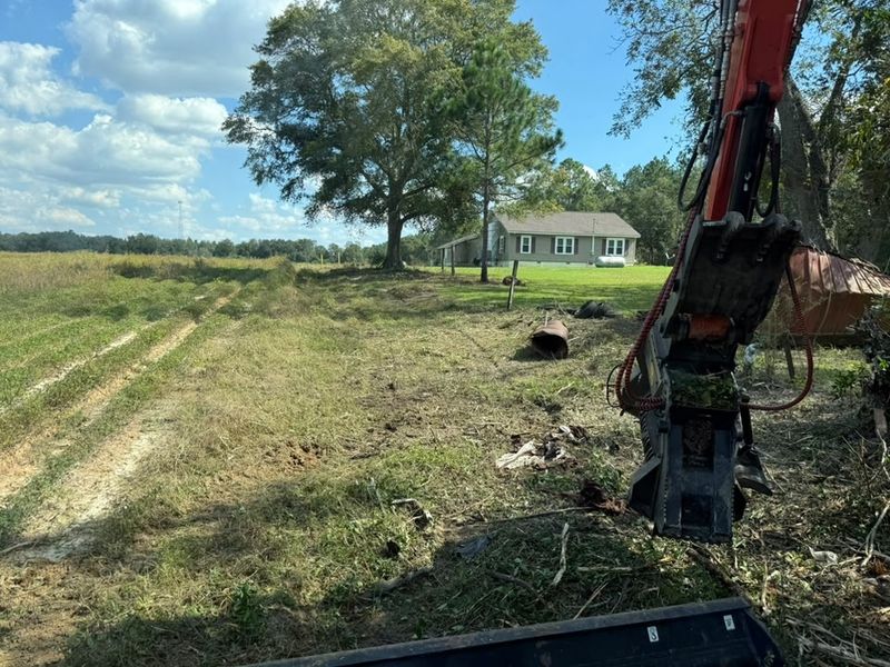 Land Clearing