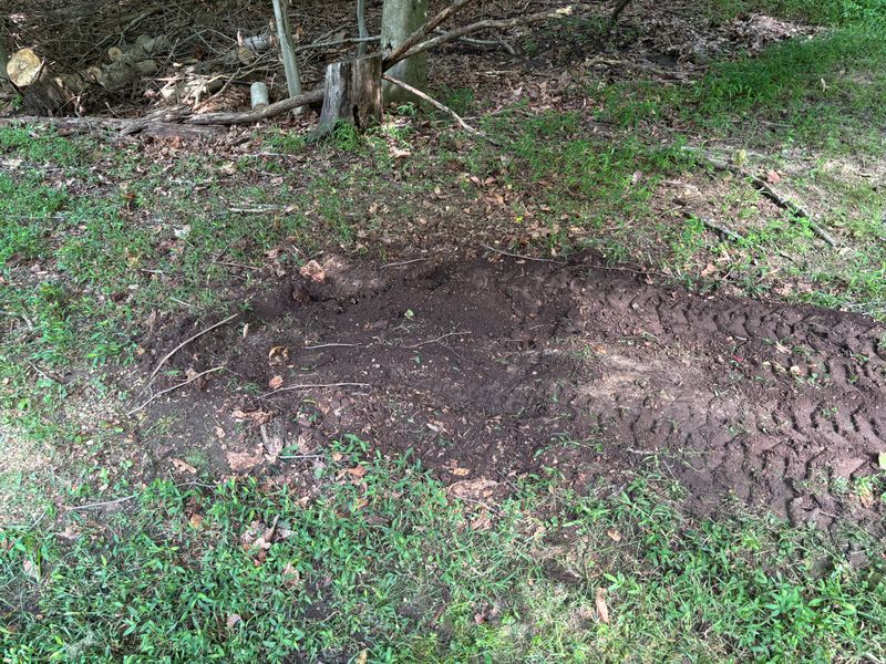 Stump Removal