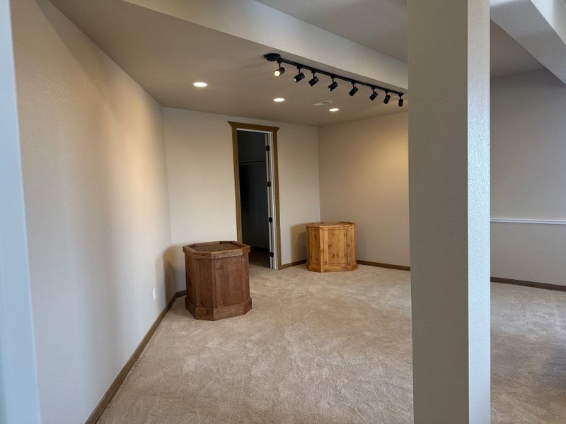 Basement Renovation
