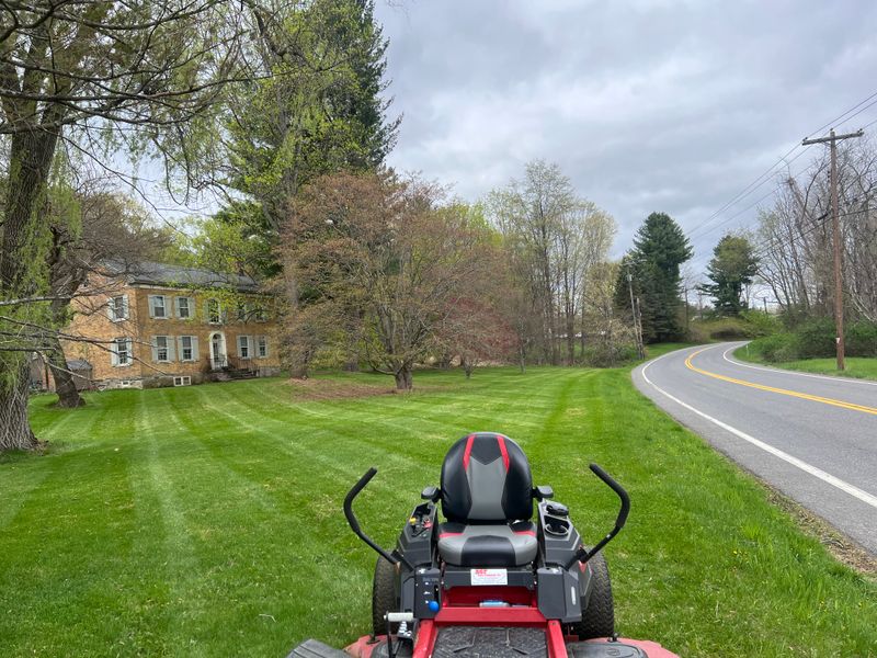 Fall / Spring Cleanups