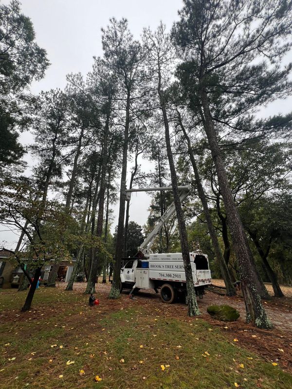 Fall Clean Up