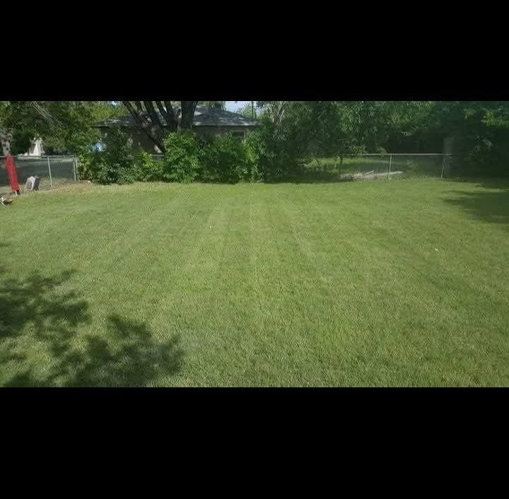 Lawn Mowing