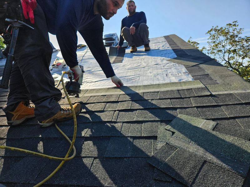 Shingle Roof Replacement