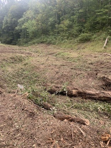Land Clearing
