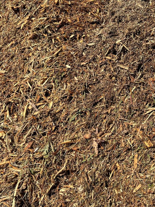 Land Clearing & Mastication