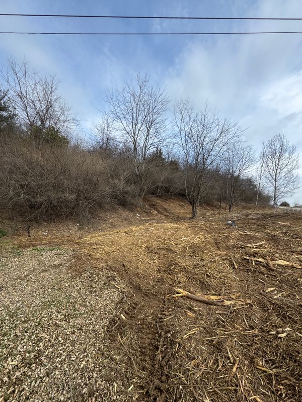 Foresty Remulching