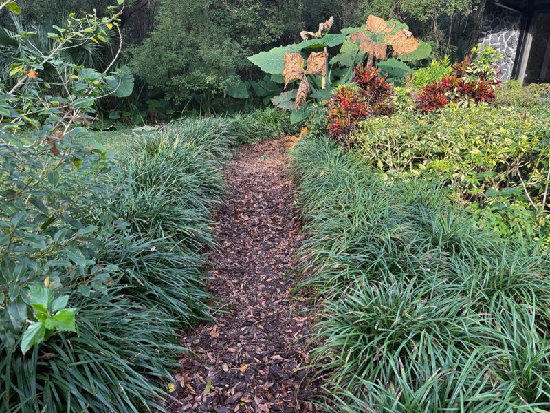 Mulch Installation