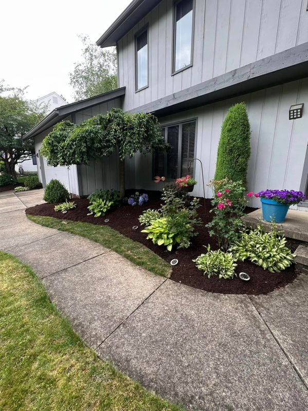 Landscaping
