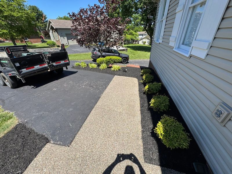 Tree and Shrub Care