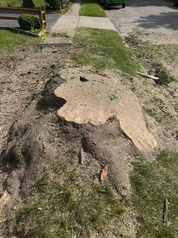 Stump Removal gallery