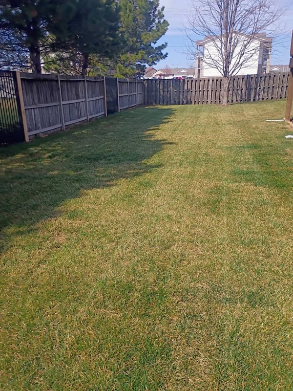 Lawn Maintenance