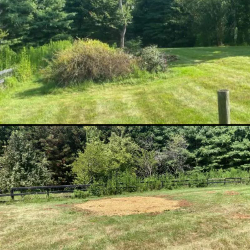 Landscape Services