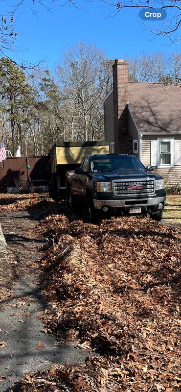Fall CleanUp