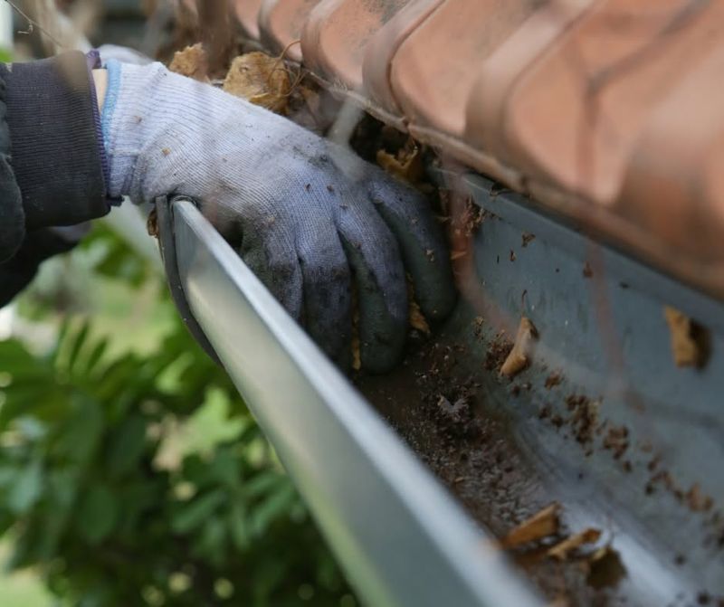 Gutter Cleaning