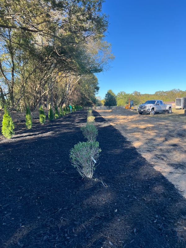 Landscape and landscape design