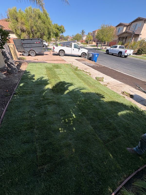 Landscaping
