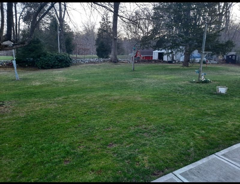 Landscape Design