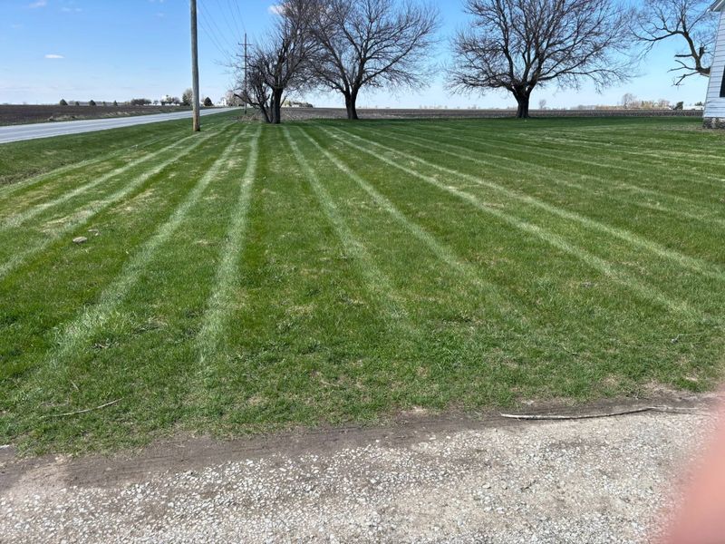 Commercial Grounds