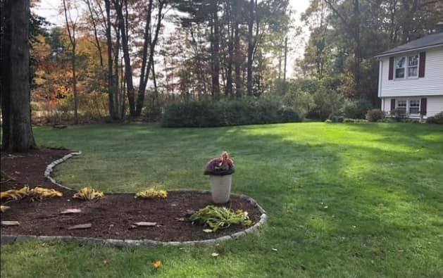 Lawn Maintenance