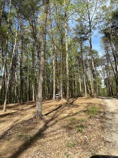 Land Clearing