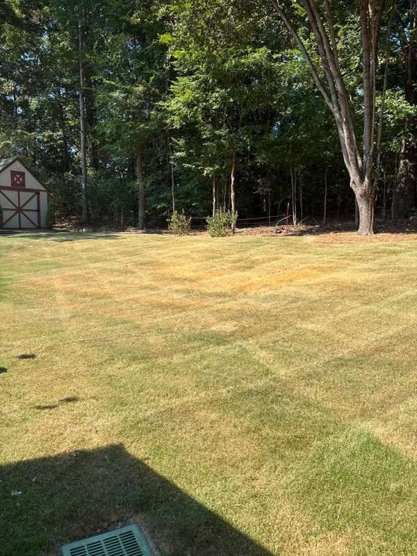 Lawn Maintenance
