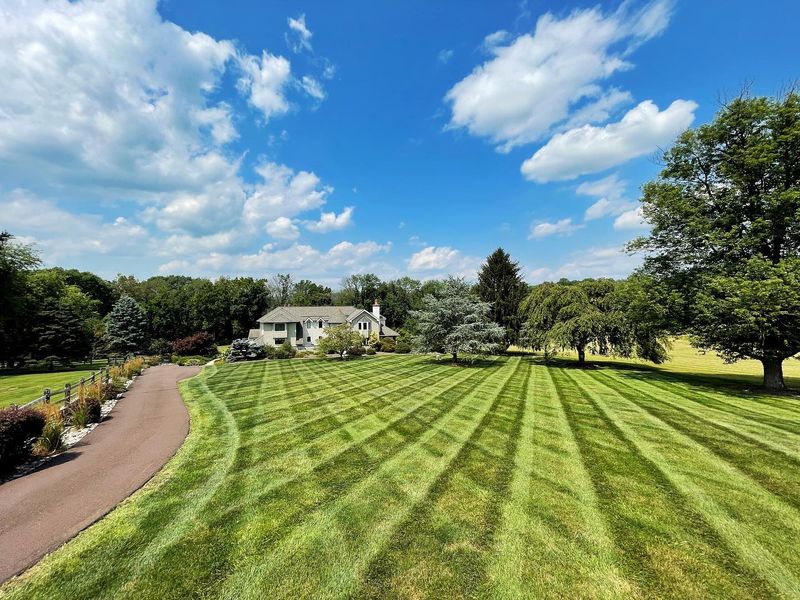 Lawn Care