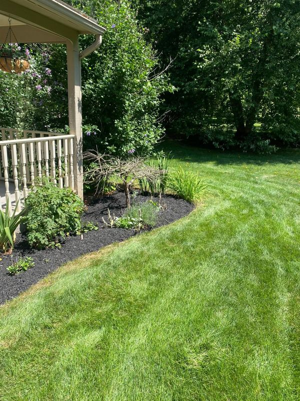 Garden Maintenance