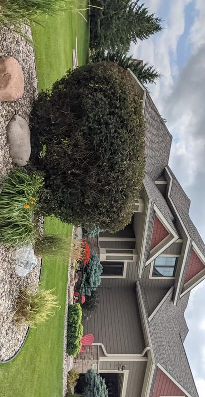 Landscaping
