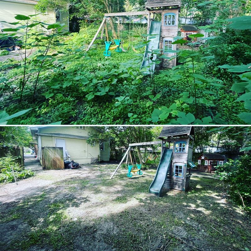 Landscaping
