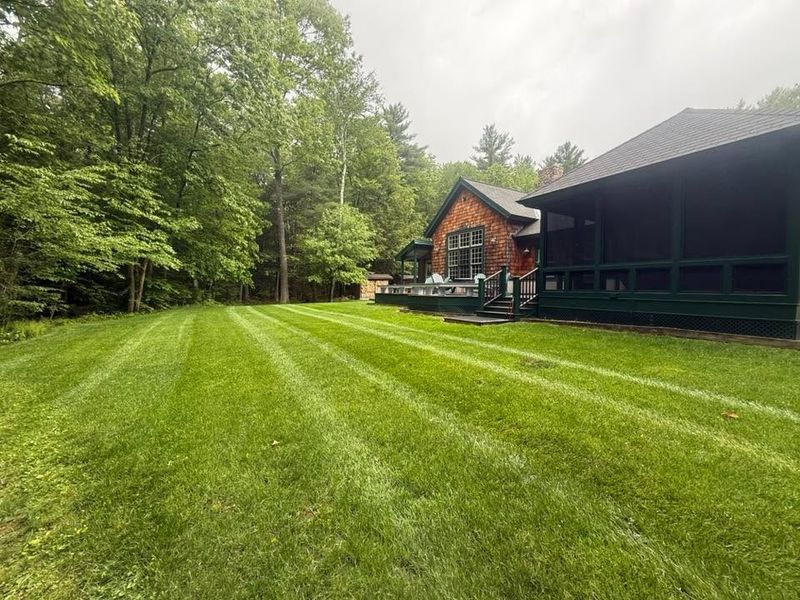 Lawn Maintenance
