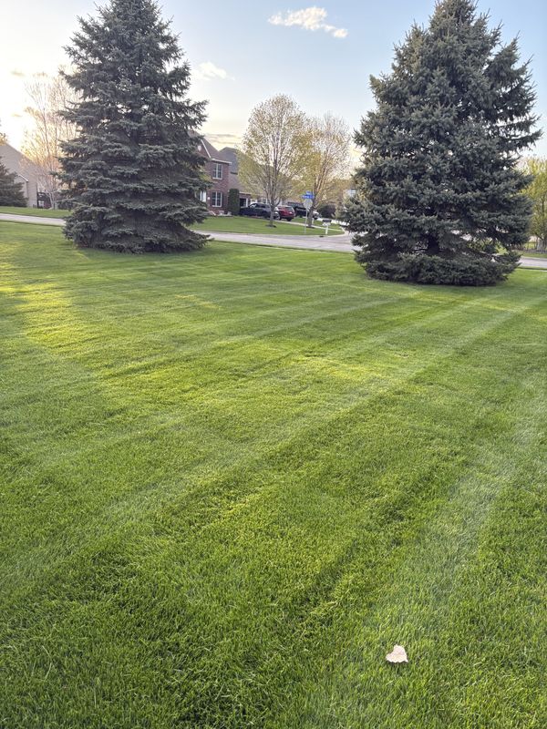 Lawn Care