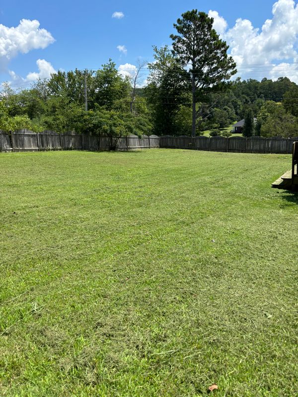 Lawn care