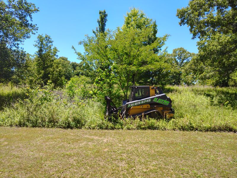 Forestry Mulching