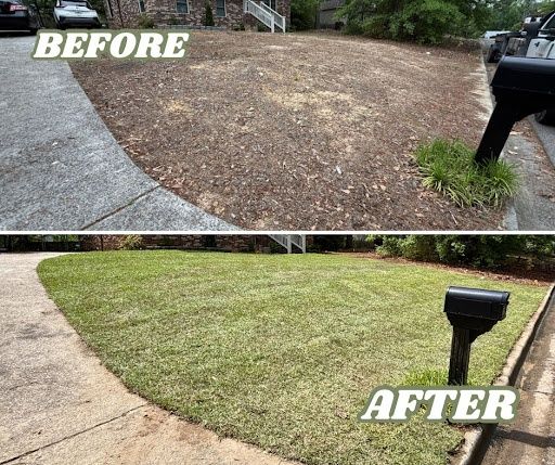 Front yard before and after new sod by the driveway