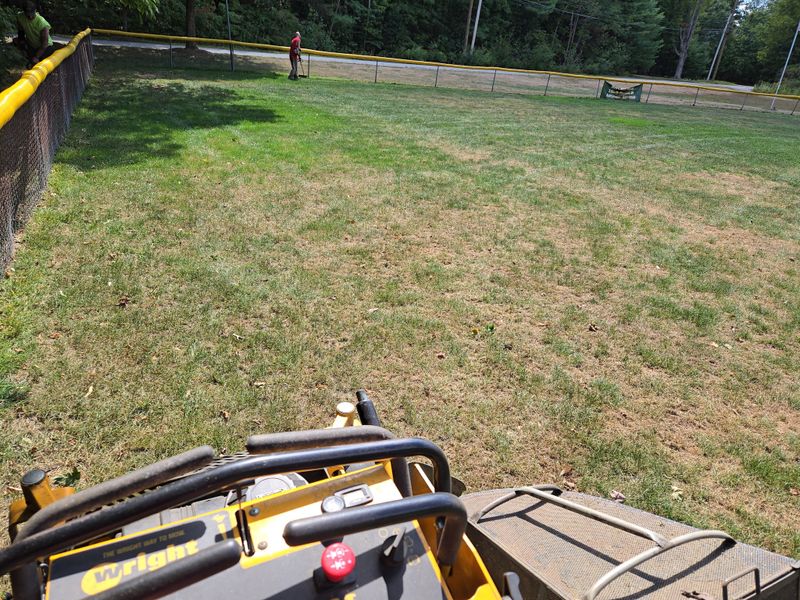 Mowing