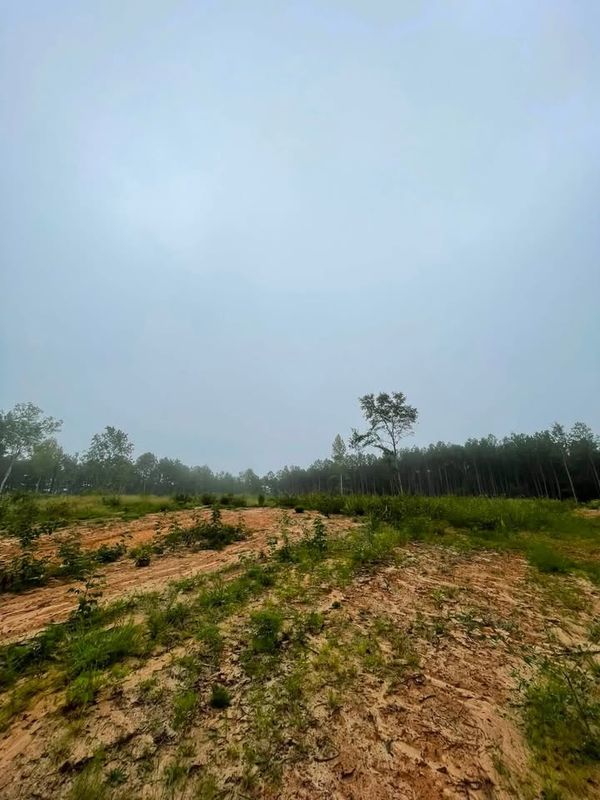Land Clearing and Site Preparation