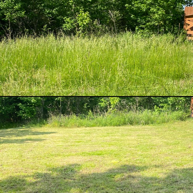 Lawncare gallery