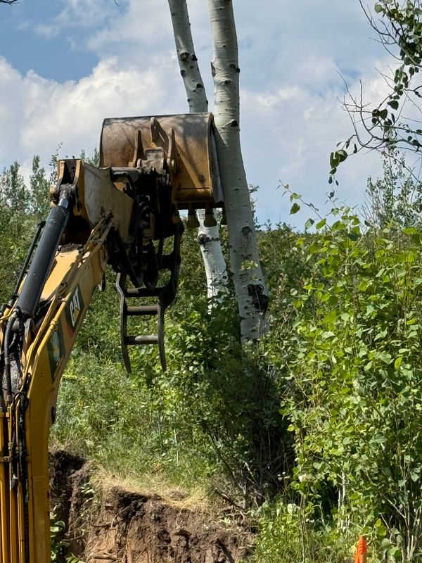 Land Clearing