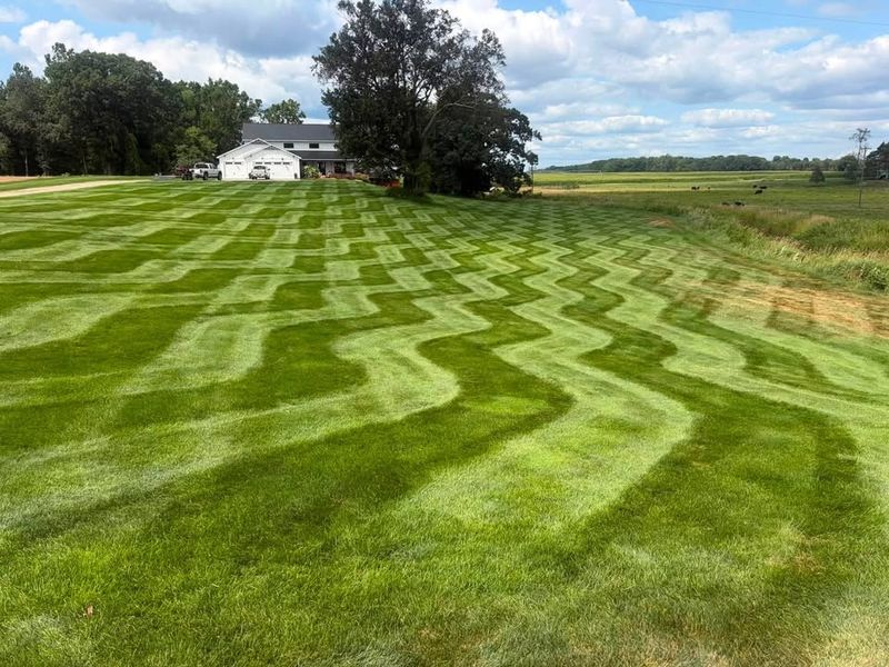 Lawn Mowing