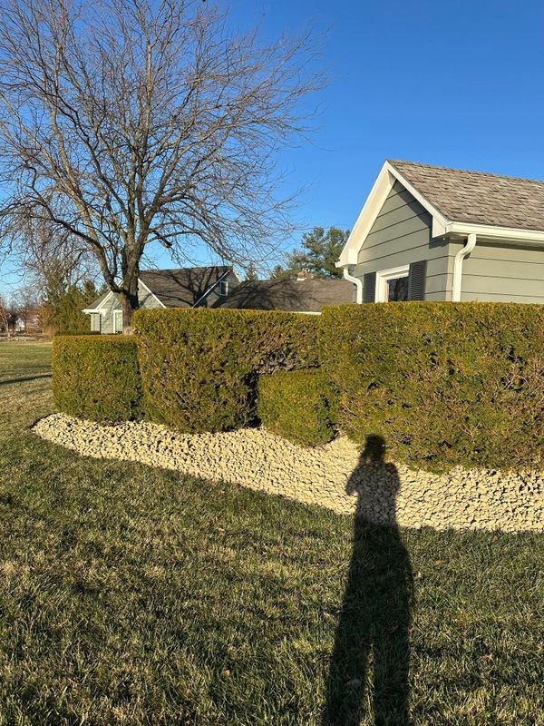 Landscape design