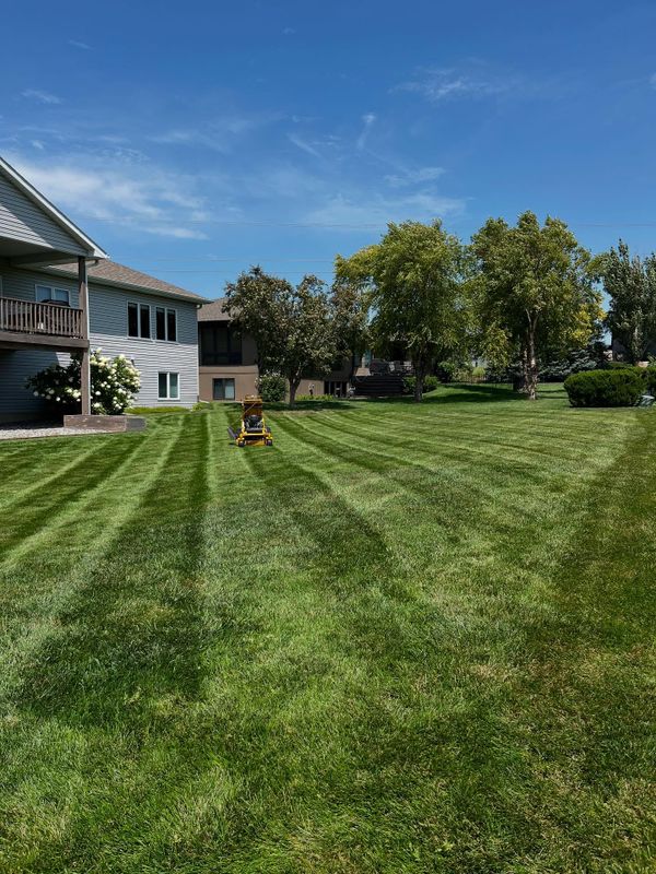 Lawn Maintenance